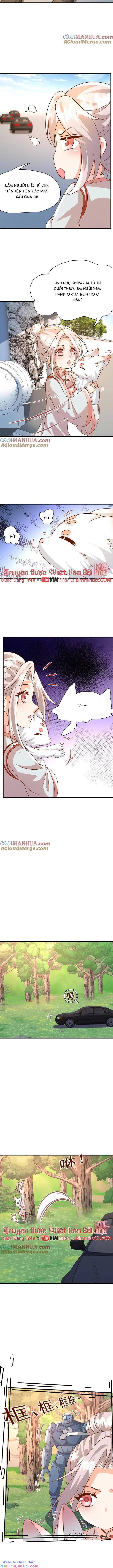 Tiểu Manh Bảo Bốn Tuổi Theo Sư Phụ Xuống Núi Chapter 219 - Trang 2