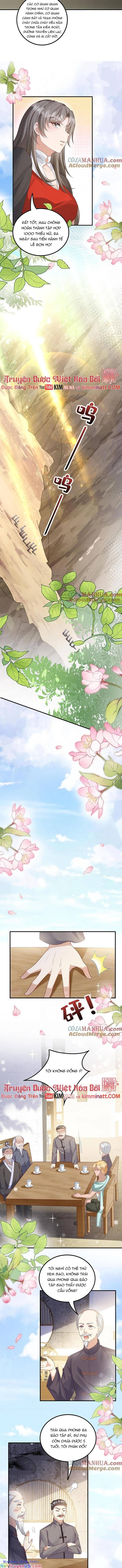 Tiểu Manh Bảo Bốn Tuổi Theo Sư Phụ Xuống Núi Chapter 228 - Trang 2