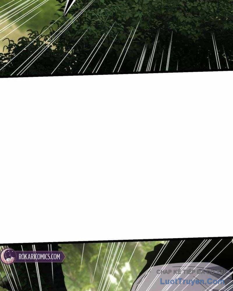 Tiểu Nữ Che Giấu Thiên Phú Võ Công Chapter 12 - Trang 2