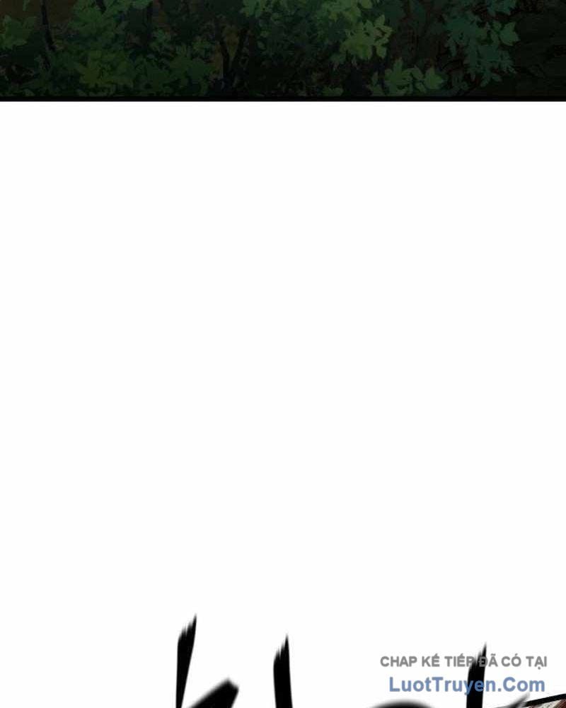 Tiểu Nữ Che Giấu Thiên Phú Võ Công Chapter 12 - Trang 2