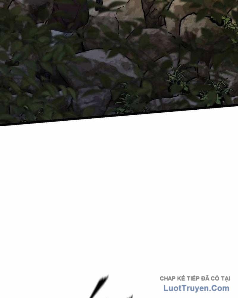 Tiểu Nữ Che Giấu Thiên Phú Võ Công Chapter 12 - Trang 2
