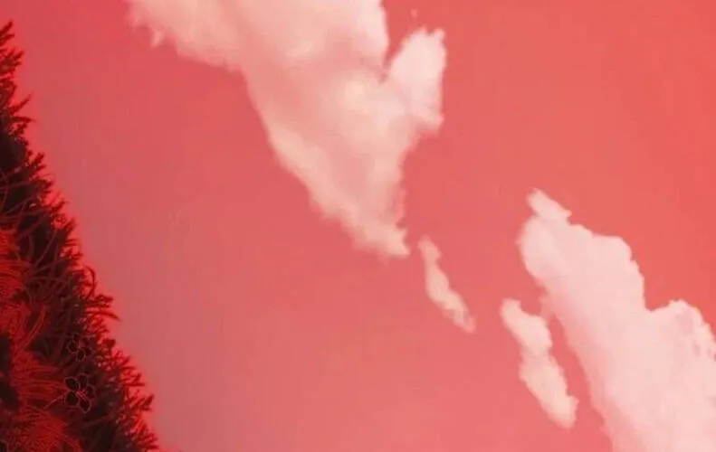 Tiểu Pháp Sư Chapter 22 - Trang 2