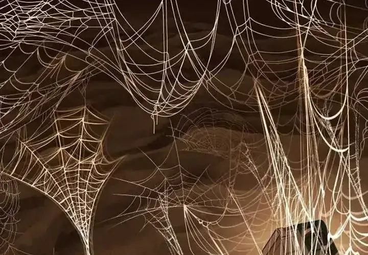 Tiểu Pháp Sư Chapter 25 - Trang 2