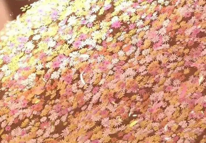 Tiểu Pháp Sư Chapter 25 - Trang 2