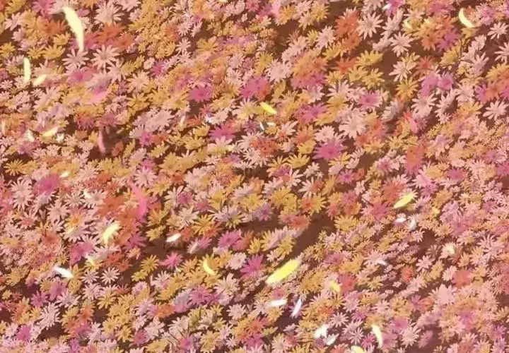 Tiểu Pháp Sư Chapter 25 - Trang 2