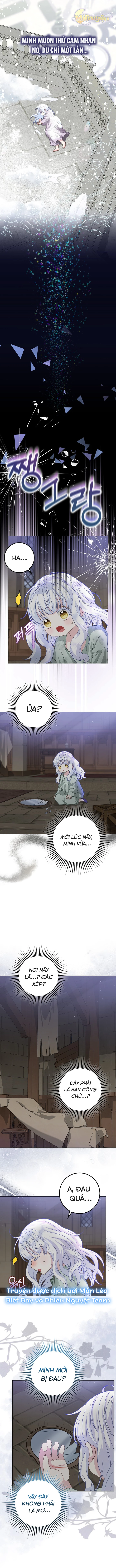 Tiểu Thư Báo Tuyết Của Gia Tộc Báo Đen Chapter 1 - Trang 2