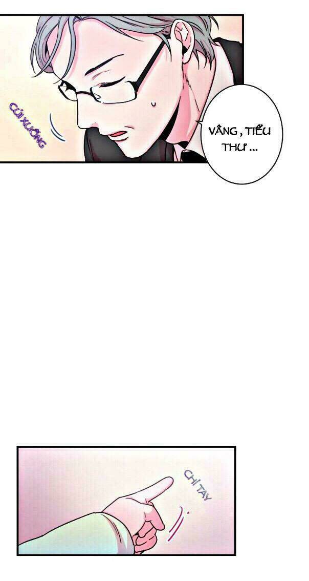 Tiểu Thư Bé Bỏng Đáng Yêu! Chapter 11 - Trang 2