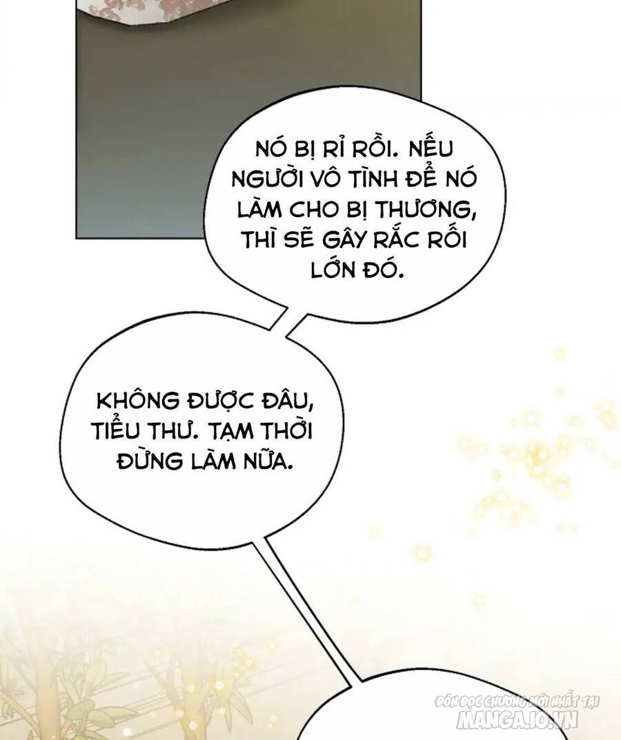 Tiểu Thư Crystal Thật Ra Là Con Trai Chapter 35 - Trang 2