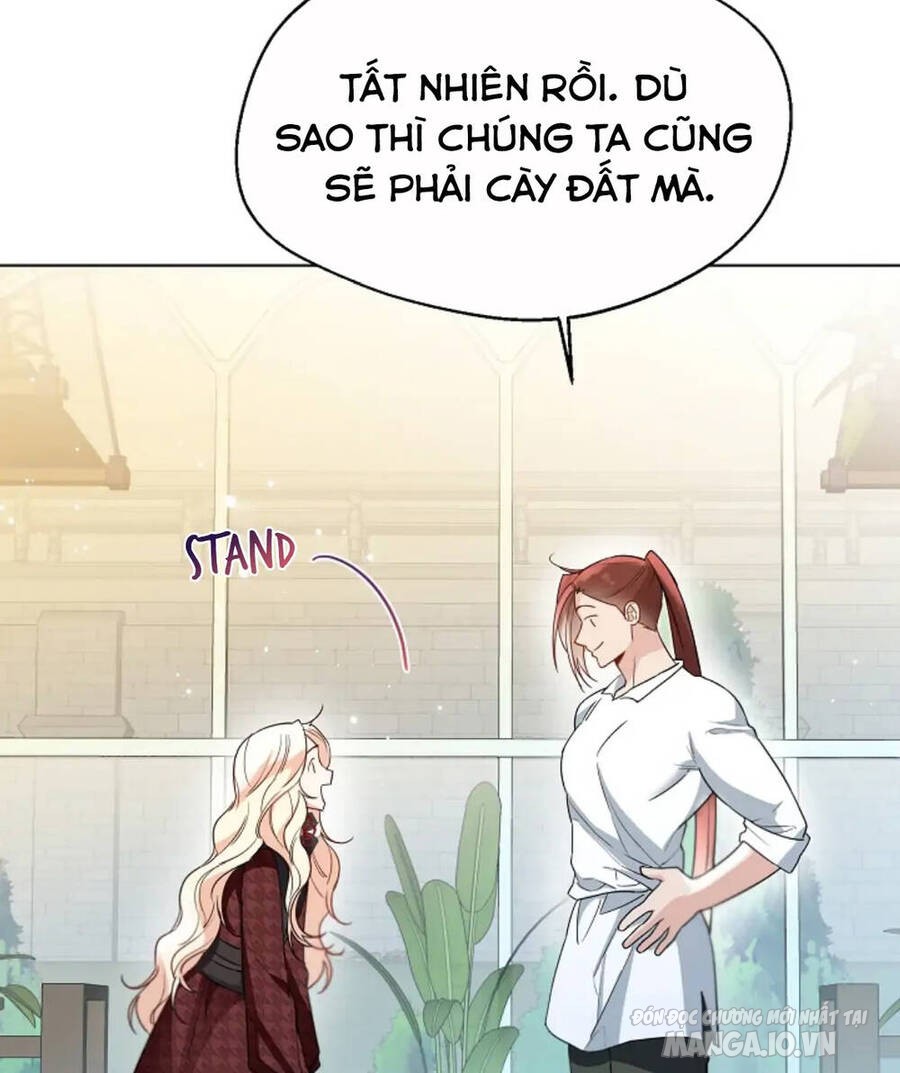 Tiểu Thư Crystal Thật Ra Là Con Trai Chapter 35 - Trang 2