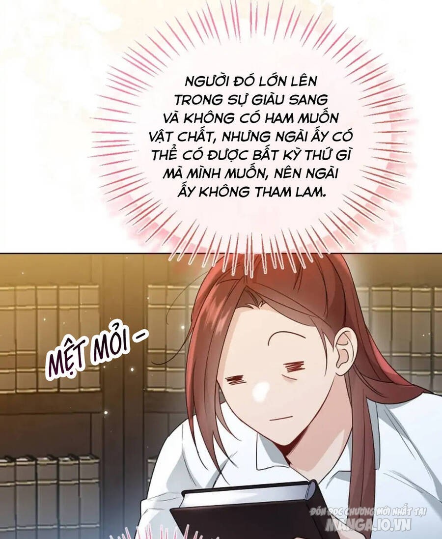 Tiểu Thư Crystal Thật Ra Là Con Trai Chapter 35 - Trang 2