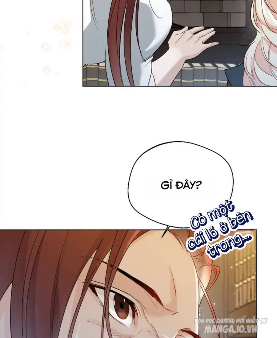 Tiểu Thư Crystal Thật Ra Là Con Trai Chapter 35 - Trang 2