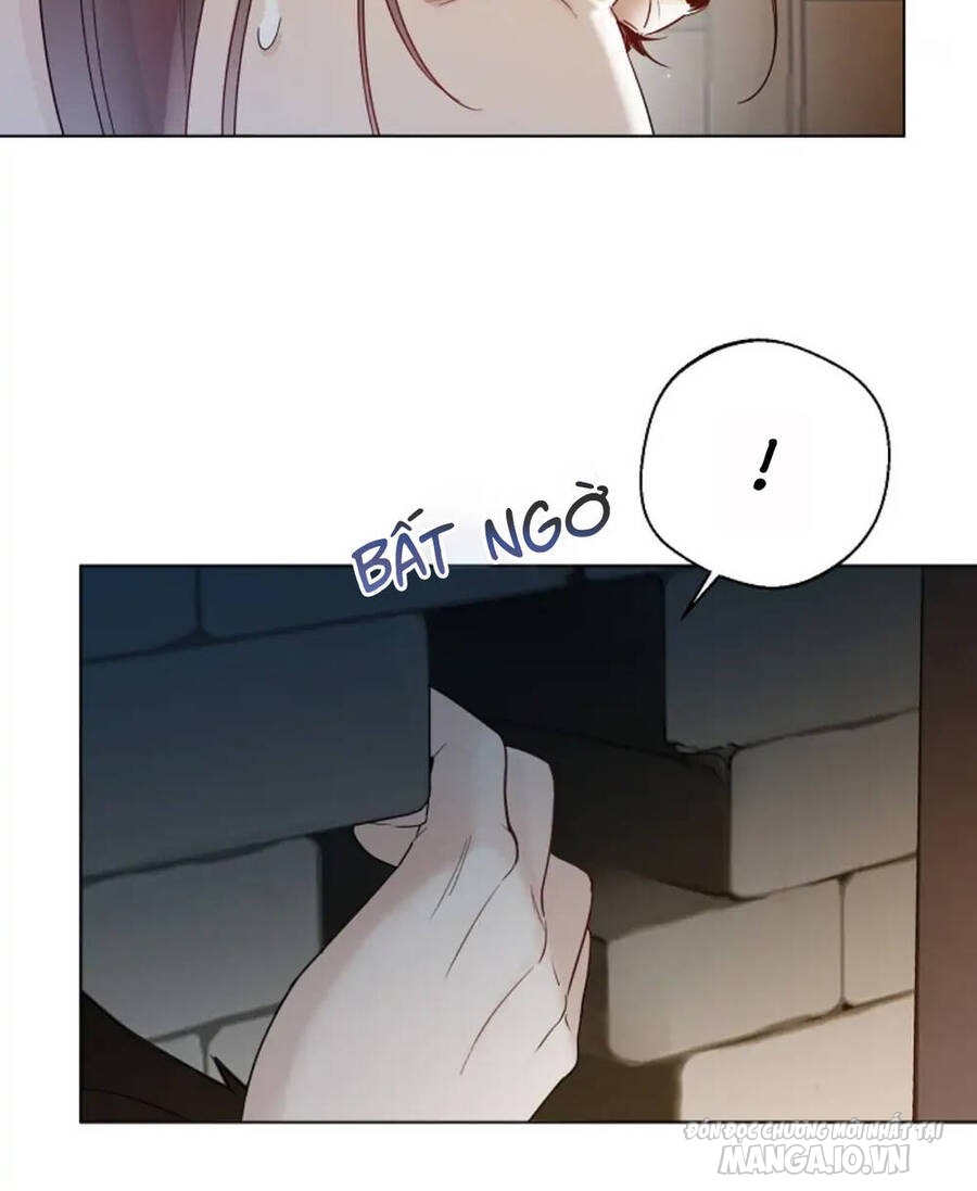 Tiểu Thư Crystal Thật Ra Là Con Trai Chapter 35 - Trang 2