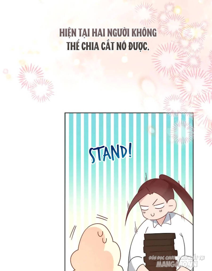 Tiểu Thư Crystal Thật Ra Là Con Trai Chapter 36 - Trang 2