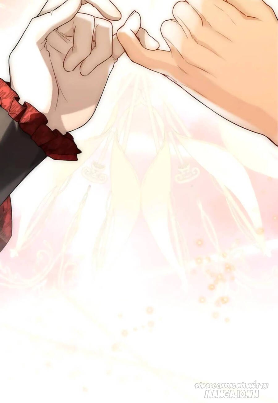 Tiểu Thư Crystal Thật Ra Là Con Trai Chapter 36 - Trang 2