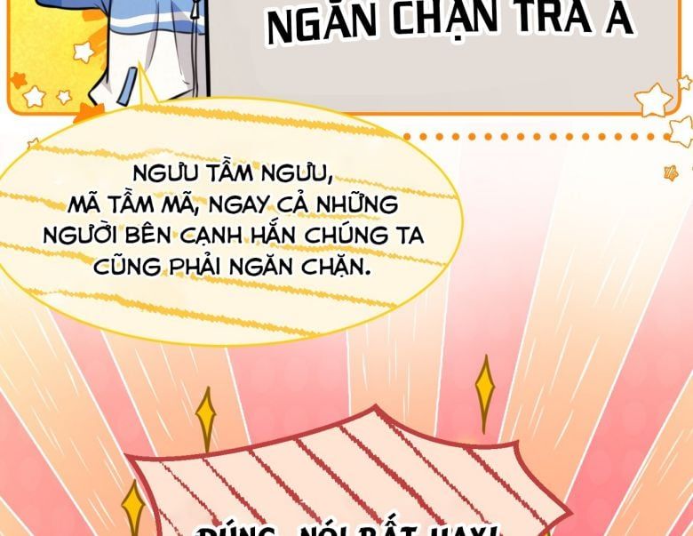 Tin Tức Tố Nói Chúng Ta Không Có Khả Năng Chapter 21 - Trang 2