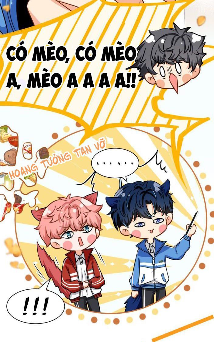 Tin Tức Tố Nói Chúng Ta Không Có Khả Năng Chapter 27 - Trang 2