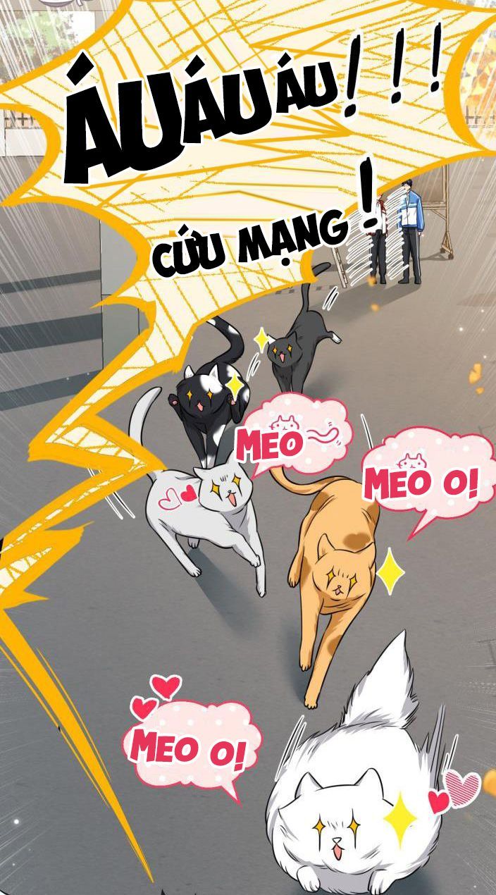 Tin Tức Tố Nói Chúng Ta Không Có Khả Năng Chapter 27 - Trang 2