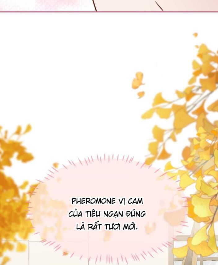Tin Tức Tố Nói Chúng Ta Không Có Khả Năng Chapter 27 - Trang 2