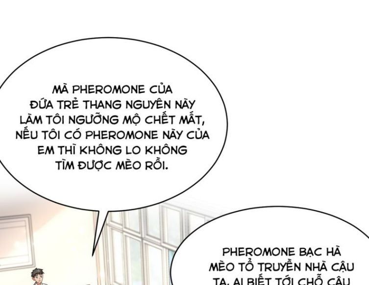 Tin Tức Tố Nói Chúng Ta Không Có Khả Năng Chapter 33 - Trang 2