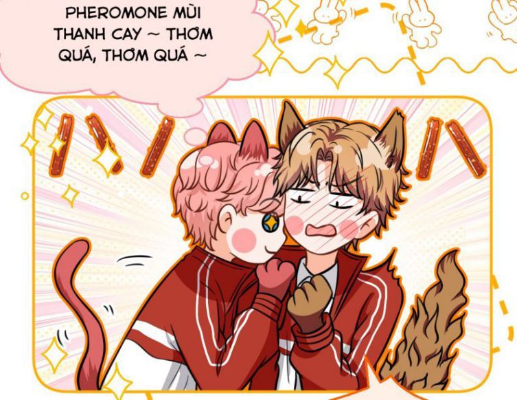 Tin Tức Tố Nói Chúng Ta Không Có Khả Năng Chapter 33 - Trang 2