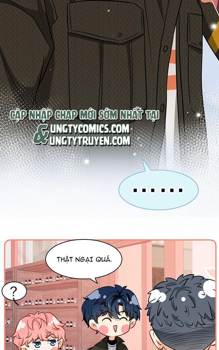 Tin Tức Tố Nói Chúng Ta Không Có Khả Năng Chapter 38 - Trang 2