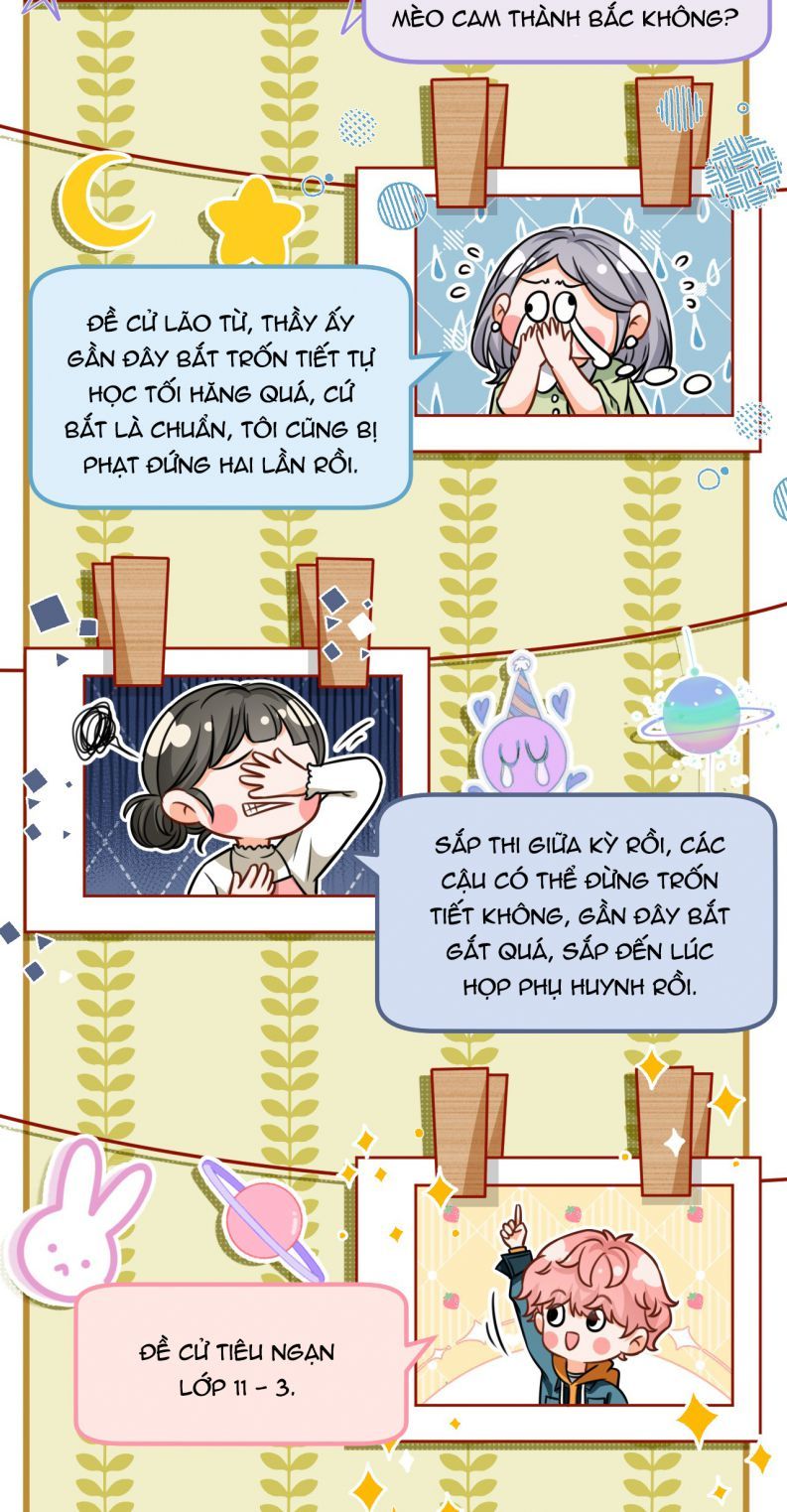 Tin Tức Tố Nói Chúng Ta Không Có Khả Năng Chapter 39 - Trang 2