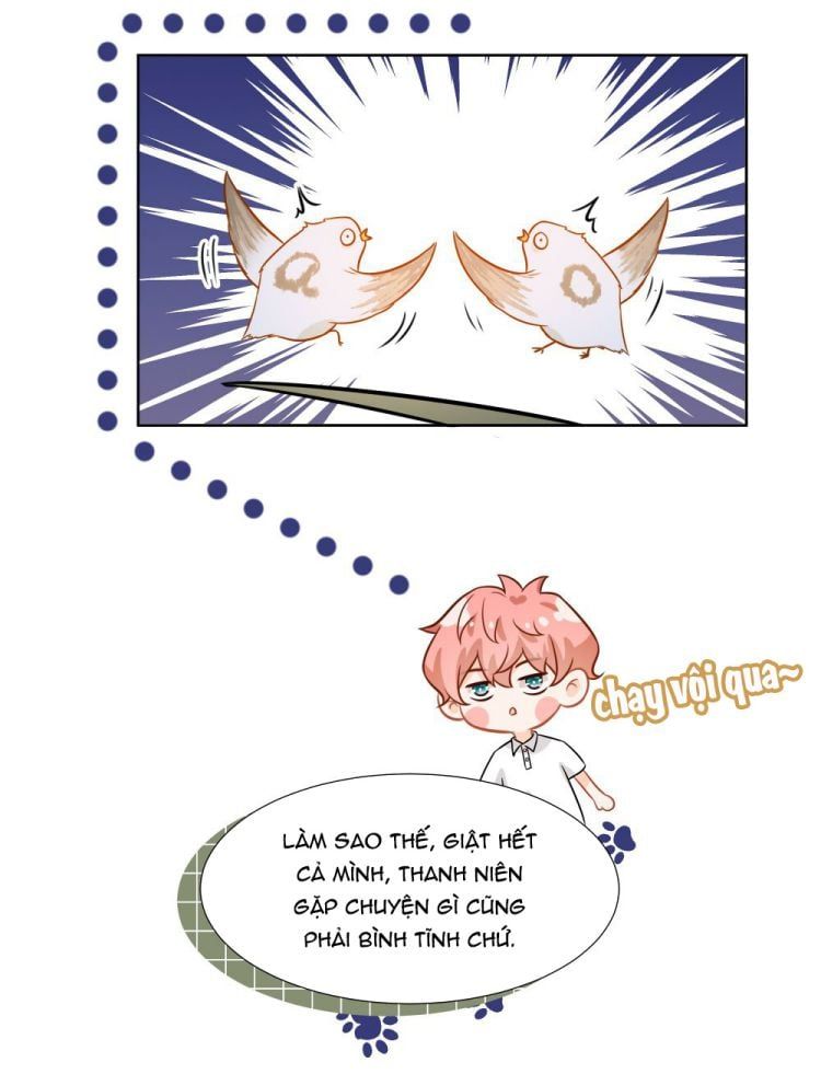 Tin Tức Tố Nói Chúng Ta Không Có Khả Năng Chapter 8 - Trang 2
