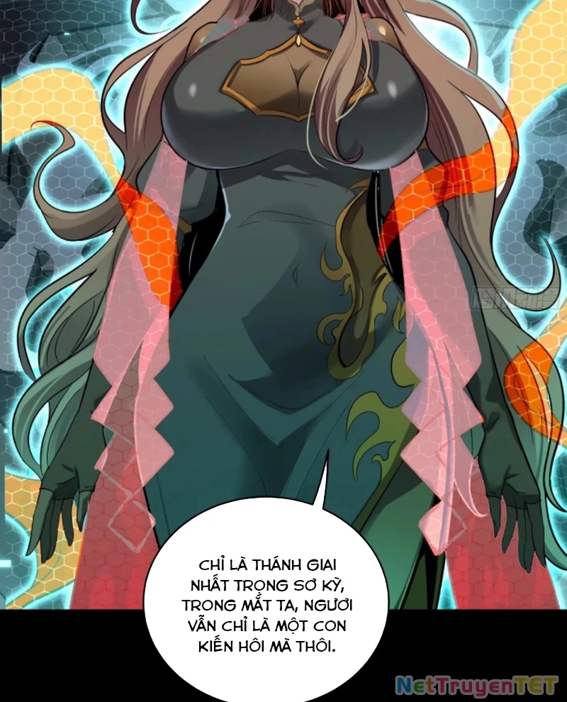 Tinh Giáp Hồn Tướng Chapter 259 - Trang 2