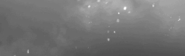 Tinh Môn Chapter 9 - Trang 2