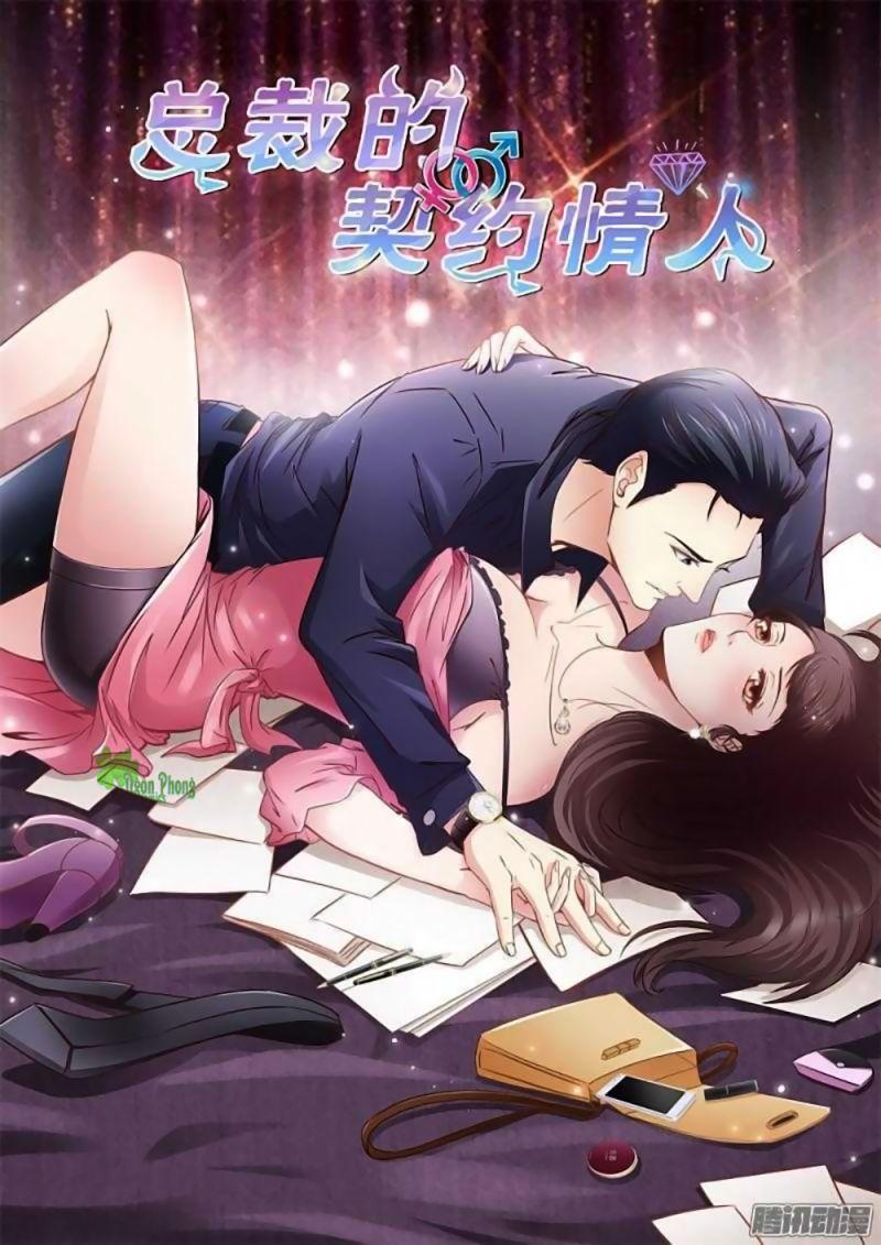 Tình Nhân Khế Ước Của Tổng Tài Chapter 13 - Trang 2