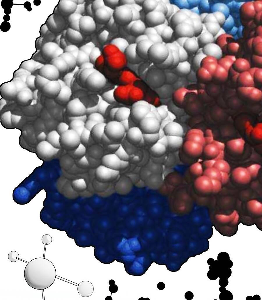 Tinh Thần Đại Hải Của Học Bá Chapter 18 - Trang 2