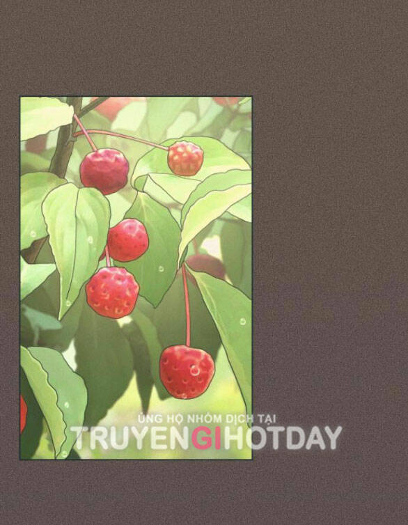 Tình Yêu Của Ik Seob Chapter 18.1 - Trang 2