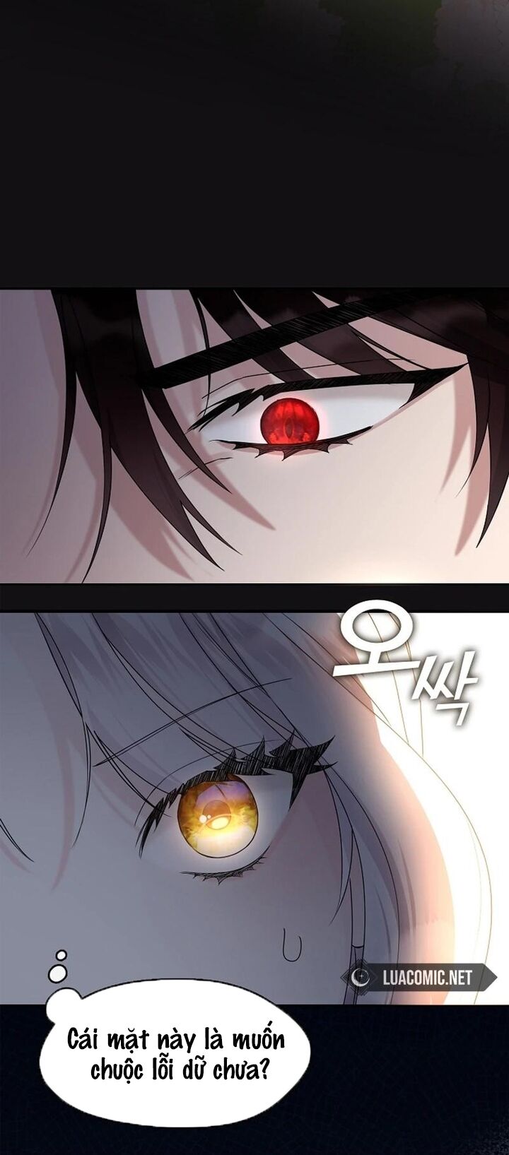 Tình Yêu Hỡi, Sao Người Lại Hối Hận Rồi? Chapter 18 - Trang 2