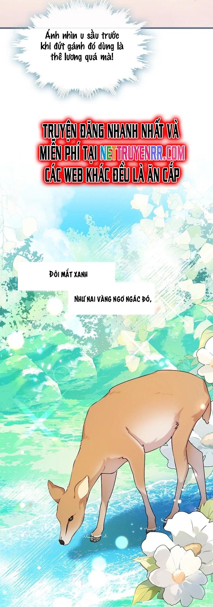 Tình Yêu Hỡi, Sao Người Lại Hối Hận Rồi? Chapter 19 - Trang 2