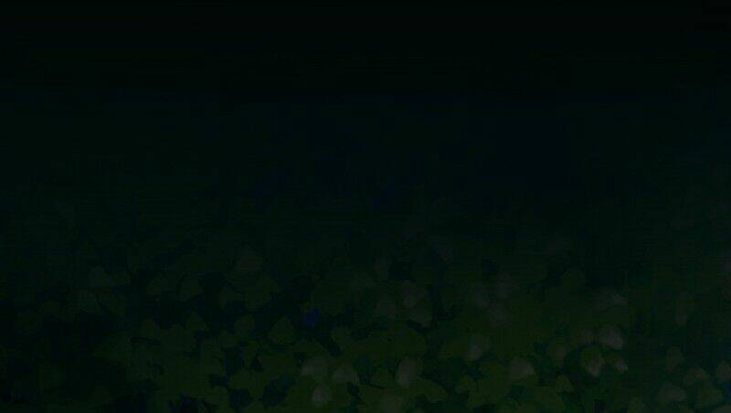 Tình Yêu Không Thể Bù Đắp Chapter 5 - Trang 2