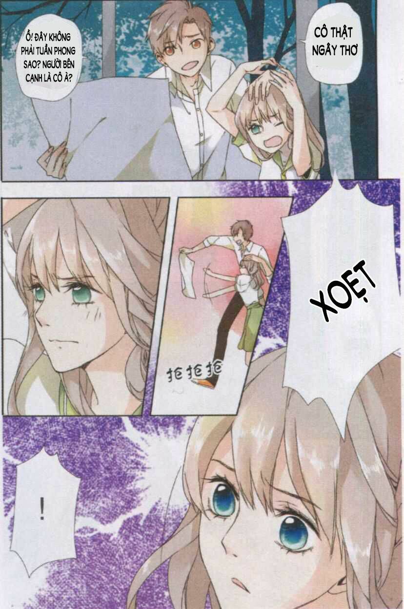 Tình Yêu Là Màu Hoa Anh Thảo Chapter 1 - Trang 2