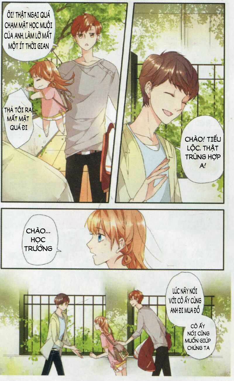 Tình Yêu Là Màu Hoa Anh Thảo Chapter 3 - Trang 2