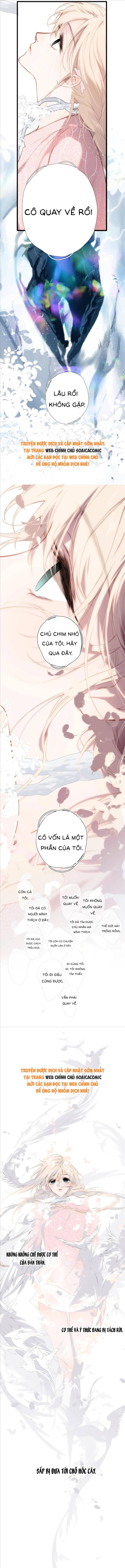Tố Hồi Xuân Thời Chapter 36 - Trang 2