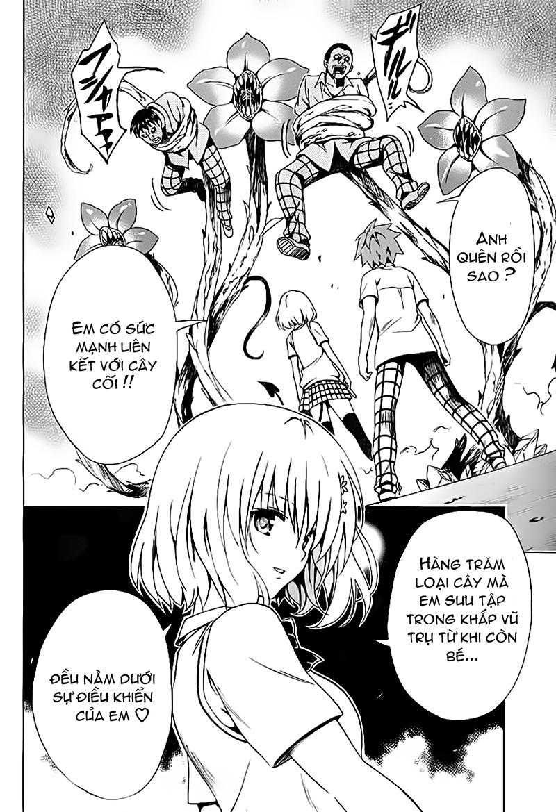 To Love – Ru Darkness Chapter 1 - Trang 2