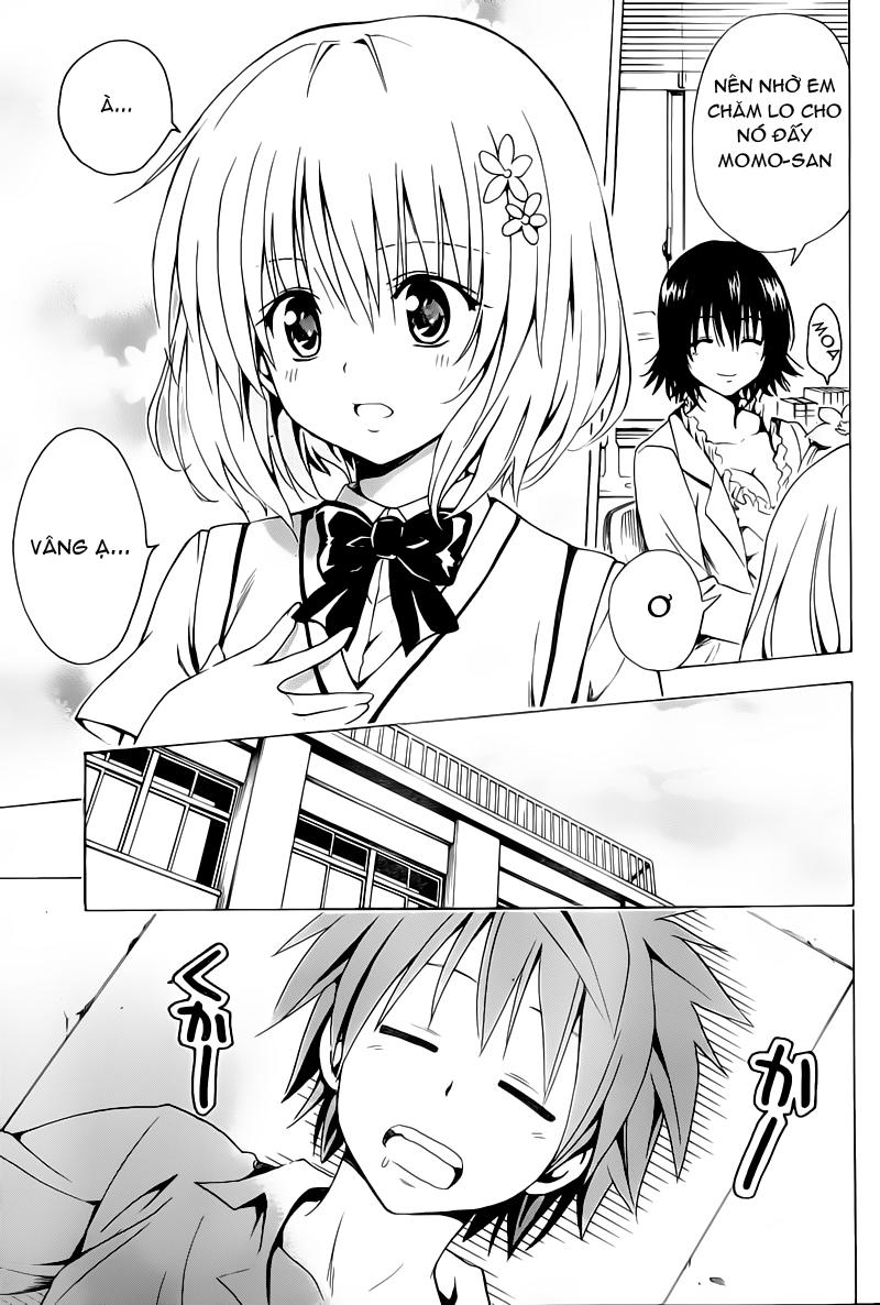 To Love – Ru Darkness Chapter 3 - Trang 2
