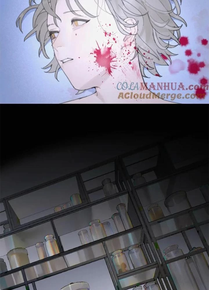 Tơ Nhện Chapter 12 - Trang 2