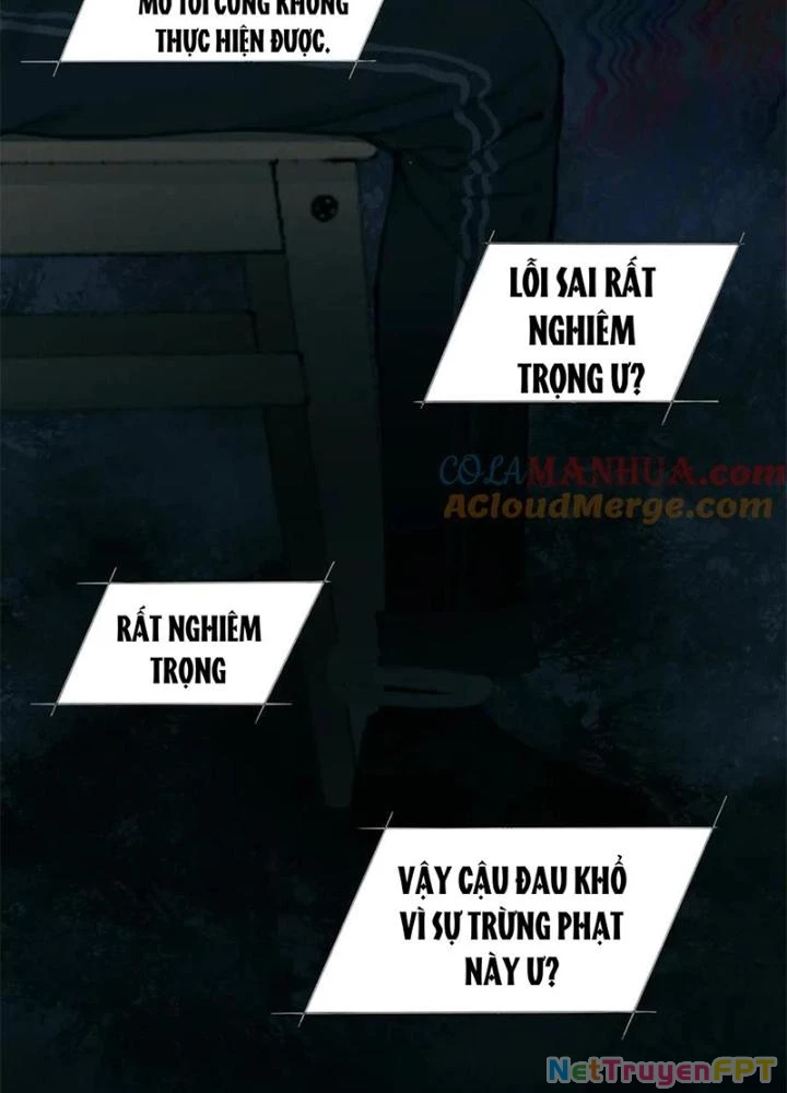 Tơ Nhện Chapter 14 - Trang 2