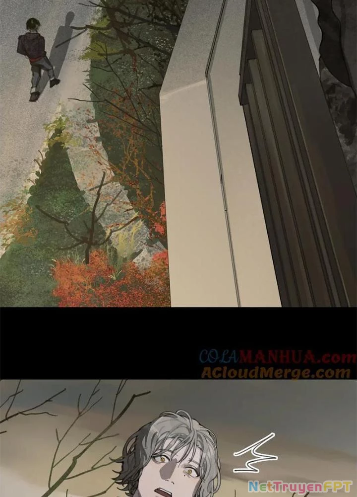 Tơ Nhện Chapter 15 - Trang 2