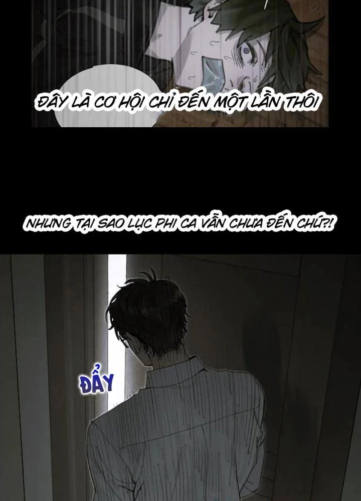 Tơ Nhện Chapter 17 - Trang 2