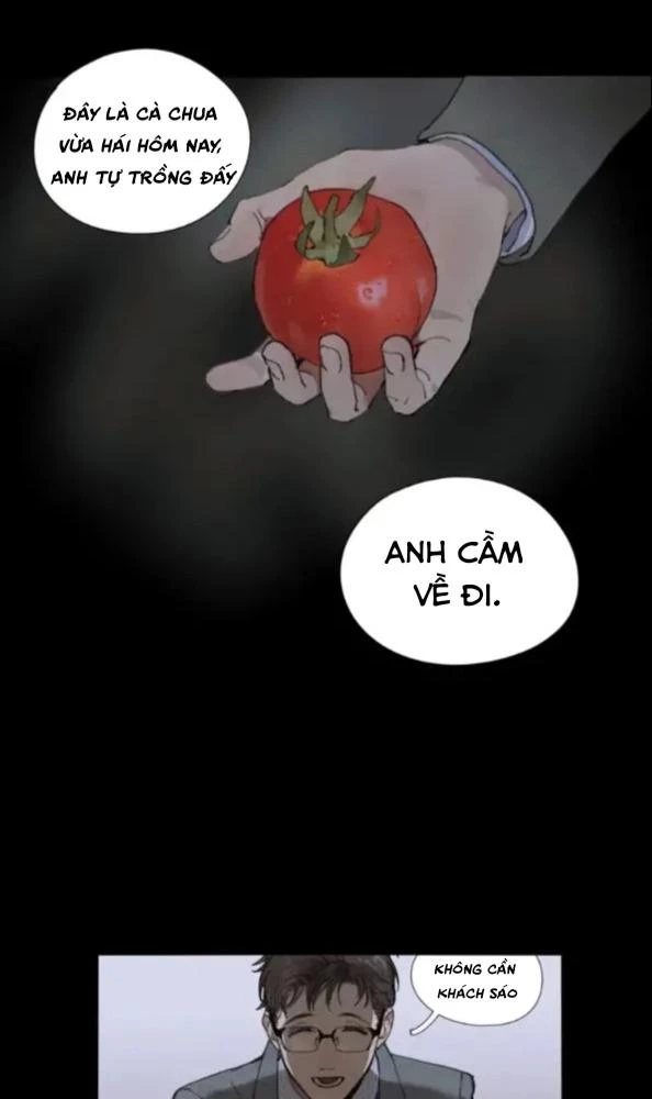 Tơ Nhện Chapter 2 - Trang 2