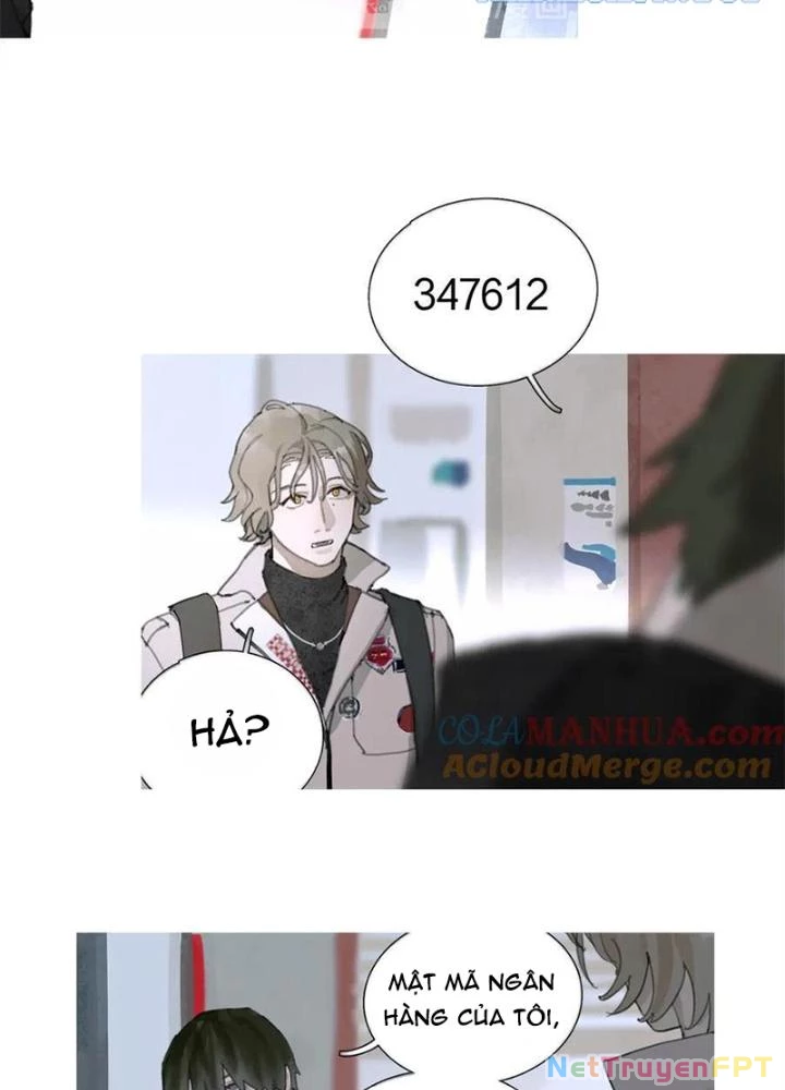 Tơ Nhện Chapter 20 - Trang 2