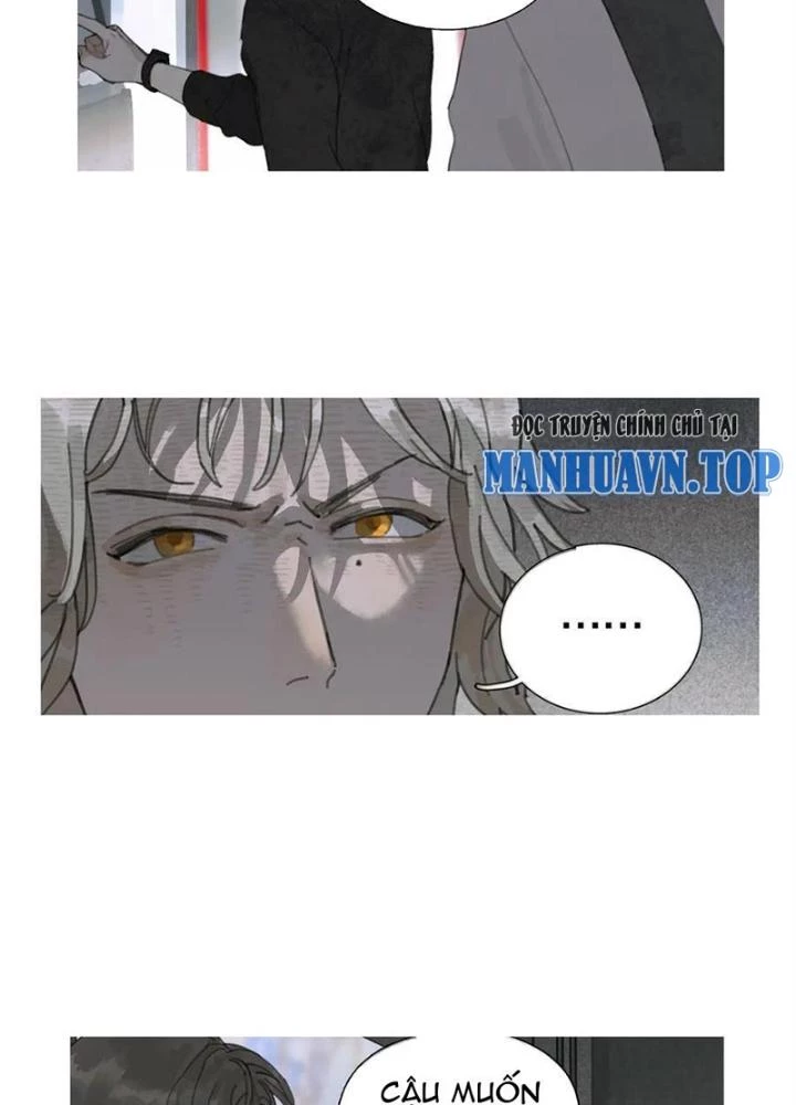 Tơ Nhện Chapter 20 - Trang 2