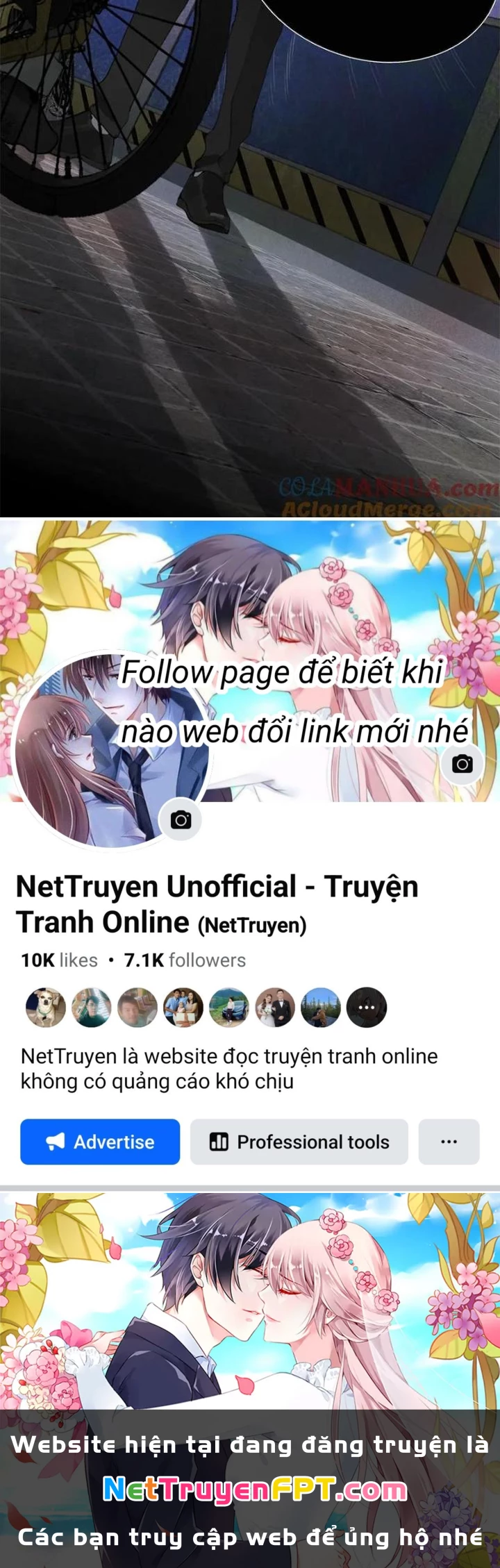 Tơ Nhện Chapter 21 - Trang 2