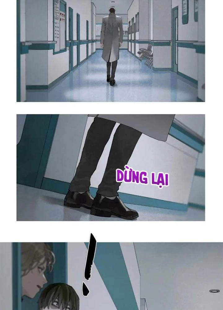 Tơ Nhện Chapter 24 - Trang 2