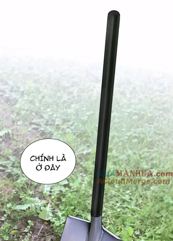 Tơ Nhện Chapter 30 - Trang 2